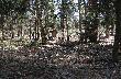 no i ju� odpoczywa
