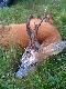 Ubieg�y sezon
