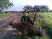 Sezon 2010/2011
13.05.2010 r. Dzik pozyskany na terenie  K� "Jele�" w Obornikach.. Dzik strzelony na komor�, uszed� jeszcze ok. 150 metr�w od miejsca strza�u.


03.06.2010r Poranne �owy okaza�y si� udane. �w. Hubert darzy�. Dzik strzelony na polu po kukurydzy.