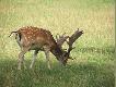 R�ne
Wype�ni�em czas wolny i zrobi�em sobie n�.