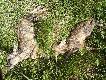 r�zne
