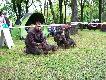 Cz�stochowa 2010-JAMNIKI SZORSTKOW�OSE
