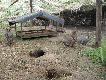Hodowla dzikich kr�lik�w 
