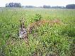 Czerwcowy rogacz.
Witam wszystkich,w dniu 21.06.2010 o godz.7.oo rozpocze�em celnym strza�em do rogacza nowy sezon �owiecki 2010/11.B�d� tu,co jaki� czas dodawa� nowe zdjecia z moich polowa� i nie tylko.Darz B�r.