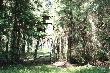 Ambona
