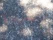 Foto 69:
Takie wielkie w�e to �y�y raczej w cieplejszych klimatach :-))