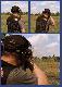 JASTRZ�B
