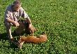 Rogacz Zdzis�awa
....Dzisiaj rano, przyjaciel mojego Ko�a i m�j, co jest oczywiste , wybra� si� na kozio�ka.Trzeba by� ulubie�cem sw,Huberta aby za pierwszym  wyjazdem strzeli�  taki okaz. 