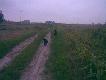 Powr�t z poszukiwania trop�w.
