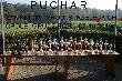 Puchar zamkni�cia Sr�d Strzleckich, Opol
W dniu dzisiejszym ,odby� si� Puchar Zamkni�cia Sr�d Strzeleckich w Opolu-Grudzicach. Zjecha�a sta�a ekipa...mo�e nie ca�a  ale znaczna jej cz�s� z  opolszczyzny  i s�siednich wojew�dztw  :sl�skiego, dolnosl�skiego jak spojrzycie na tablic� wynik�w b�dziecie wszystko wiedzie�..Pogoda by�a sliczna, rywalizacja ostra  i niez�e wyniki, co ja pisz� wyniki bardzo dobre...Te zawody by�y podsumowaniem  ca�ego sezonu strzeleckiego zw.Srodami Strzeleckimi, kt�re mia�y w tym roku jubileusz ...dziesi�ciolecia istnienia,Wielu z dzisiejszych uczestnik�w. kilkakrotnie stawa�o na podium bo  byli najlepszymi w wielu konkurencjach w kilku fazach  tego turnieju strzeleckiego, jedynego w swoim rodzaju. Podkresl� ,�e organizatorzy  i wsp�pracuj�cy  z nimi zrobili wszystko aby ten turniej trwa� tyle lat i cieszy� si� takim powodzeniem .Na zdj�ciach przedstawi� wyr�nionych za swoj� prac�..w spos�b symboliczny i oklaskami  zawodnik�w...bo w�asciwie to wszyscy si� tutaj dobrze znaj� i szanuj�....A  Krysia  Kurpierz  zna wszystkich  po imieniu.,...tylko kilka zdj�� opisz�...Jesli zobaczycie kogos na podjum to znaczy,�e zwyci�zca... Na ko�cu wyyniki  dzisiejszych zawod�w......Ja osobiscie mia�em  super dzie� do strzelania...tylko mi" kule" lata�y gdzie chcia�y...hehe