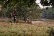 Richmond park
