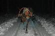 Na �owy.
<a href="http://www.carskitrakt.com" target=_blank>www.carskitrakt.com</a> 