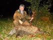 polowanie na dzika
dzi� b�r darzy� 