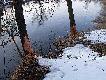 Polowania na bobry
Witam! Przedstawiam kilka fotek z polowa� na bobry. W ostatnim sezonie nasze Ko�o po raz pierwszy otrzyma�o pozwolenie na odstrza� redukcyjny bobr�w. Do odstrza�u otrzymali�my pi�� sztuk, przyznam si�, �e ca�y plan wykonali�my w przeci�gu pi�ciu dni. �w. Hubert by� �askawy i pozwoli� mi pozyska� bobra, kt�ry jest jak na razie pere�k� w mojej �owieckiej kolekcji trofe�w.  