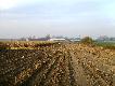 Kopovy i sp�ka
W dniu 31.10.10r. podk�ada�em z bratem Piotrem i kol. �ukaszem Psy na polowaniu zbiorowym w K� Ba�ant w miejscowo�ci Unis�aw (Kujawsko-Pomorskie).
5 pierwszych p�dze� to sama kukurydza, 2 pozosta�e to plantacje wikliny.
Na polowaniu towarzyszy�a nam pi�kna pogoda i dobre humory:)