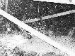 prace
Prace w K� Darz B�r Wroc�aw