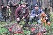 Dzicze dublety
Trzy dzicze dublety na trzech kolejnych polowaniach sezon 2010/2011 .... dzi�ki �w. Hubercie.