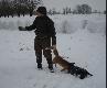 Stogowanie
Troch� fotek ze stogowania i wabienia 