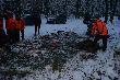 Moje nowe Lowisko od 2011-Glindow Niemcy
Polowanie zbiorowe  na 14 strzelb
pokot 12 dzikow 
16 danieli 