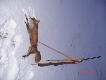 zima 2010/11
Przysz�a zima spad� �nieg, raz w miesi�cu w �owisku ale �w. Hubert jest �askawy  i ...    Dzi�ki Patronie DB.