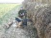 wsponienie z polowa�
