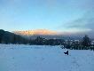-19 :) Wieczorem widziaem w tym miejscu 17 jeleni, dzika, jenota i 2 lisy. Niestety nic na strza... DB!