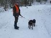 Kopovy i sp�ka
W dniu 3-4.01.2011r. podk�ada�em psy wraz z moim bratem Piotrem i kol. Jackiem i kol. Gerardem na polowaniu dewizowym w K� Szarak w Barlinku (woj. zachodniopomorskie).
Psy podk�adamy ju� kilkana�cie lat, ale w takich warunkach jak przysz�o nam polowa� w tych dniach jeszcze nie polowali�my. Ka�dy kto podk�ada psy w tym okresie w woj. zachodniopomorskim doskonale wie o czym pisze. Pokrywa �niegowa si�ga 50 - 100 cm. To mo�e nie by�oby problemem ale ca�a wierzchnia warstwa by�a zmro�ona i psy bardzo mocno odczuwa�y to na swojej sk�rze. Ale i tak dawa�y sobie �wietnie rad� z czego jestem bardzo zadowolony. Na pokocie w pierwszym dniu u�o�ono: Byka, 10 dzik�w i 3 kozy. Drugiego dnia: Byka, 2 �anie, cielaka, 21 dzik�w i 3 kozy.