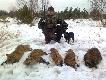polowanie z pieskami 
Ca�o dniowe polowanie na norach Z pieskami Nuk� i Ar� obydwie jagdteriery 
