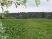 polowania
podczas sta�u