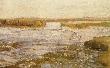 ZALANA ��KA, 1891