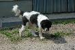 Jelenia G�ra_29-05-2011
