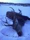 w �owisku
drabiny na nowy sezon