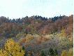 Widok z kuchni