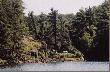 Killarney Park
Killarney Park, o powierzchni 48 tys.ha nale�y do jednych z naj�adniejszych w Ontario. Jad�c samochodem, ju� z daleka wida� bia�e, kwarcowe stoki niedu�ych g�r La Cloche, kt�re w promieniach s�o�ca biel� jakby by�y pokryte �niegiem. W �rodku parku, w otoczeniu drzew iglastych pyszni� si� szafirem niewielkie jeziora. 
Ten krajobraz by� natchnieniem (i jest nadal) dla wielu artyst�w, a mi�dzy innymi dla s�ynnych w ubieg�ym wieku kanadyjskich malarzy z tzw. Grupy Siedmiu, o kt�rych szerzej wspominam w ksi��ce "Kanada - kraj bobra i klonowego li�cia".
Wi�cej wiadomo�ci na temat tego parku (i innch) mo�na zaczerpn�� u �r�d�a czyli w; www.ontarioparks.com
