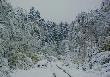 Bieszczady w pa�dzierniku '09
