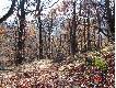 Tarnica 2005.10.29.
Pi�kna tym razem pogoda nie pozwoli�a siedzie�  spokojnie w domu.  Pojechali�my w czteroosobowym rodzinnym sk�adzie do Wo�osatego, a p�niej pieszo na Tarnic�. Dla �ony i dzieciak�w to pierwsza wyprawa "na koron�" Bieszczad.  