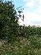 Urz�dzenia �owieckie

