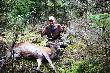 Pierwszy byk
Strzelony 09.09.2011r. o godz.19.00. Strza�  z ok 170m. �smak, 119kg.
