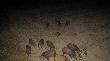 �uchwa
przysz�y o 20:30 5m od ambony