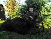 z polowa�
�wi�ty Hubert by� �askawy. 10-tak nieregularny, II kl, tusza po rykowisku 113kg...