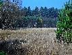 Urz�dzenia �owieckie
