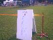 wystawy i osi�gni�cia
Mi�dzynarodowa Wystawa Ps�w Rasowych  - Warszawa 16 i 17 lipiec 2011 r. 