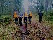 Ko�o �owieckie "Ry�", 20 listopada 2011
Zdj�cia z polowa� w Starogardzkim "Rysiu"! 