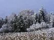 Szad�
