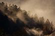 Bieszczady
Wi�cej na http://picasaweb.google.com/sz.bartosz Zapraszam
