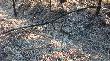 24-03-2012 Niestety i ten te by stary