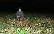 18-08-2012 W zeszym sezonie udao si zrobi dublet do dzikw, to w tym sezonie jest i lisi dublet. (12, 13)