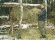 Dokarmianie
W moim kole ka�dy ma swoje pa�niki o kt�re bda. Oto moje 2 w �owisku "ko�o Jastrz�bia).