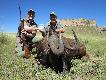 Gnu czarne (strzelone przy granicy z Lesotho)
