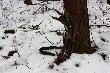 w ten sam dzie� tata spotka� znajomego z takim ,,plecakiem" na plecach